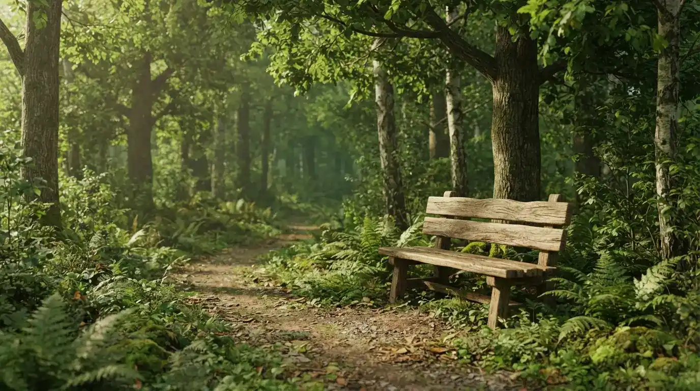 Holzbank an einem ruhigen Waldweg zwischen Eichen und Farnen